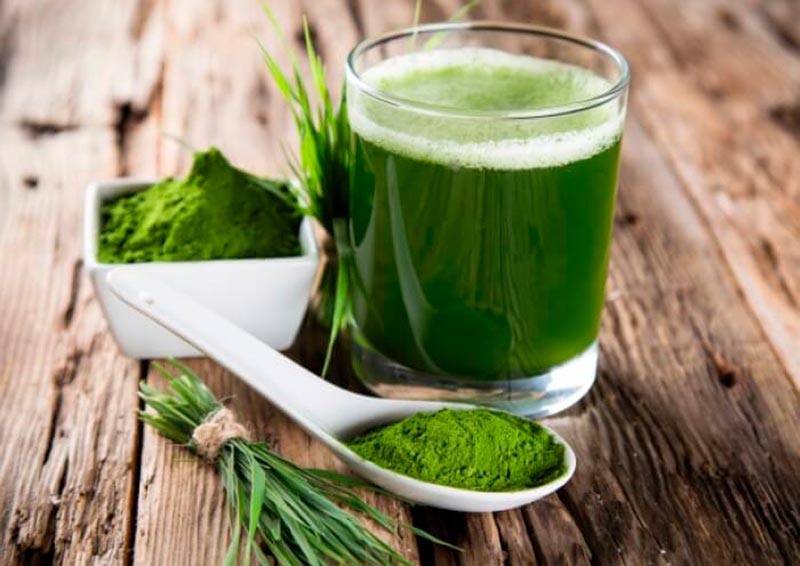 Le jus d'herbe : un super-aliment, élixir de bien-être et de vitalité