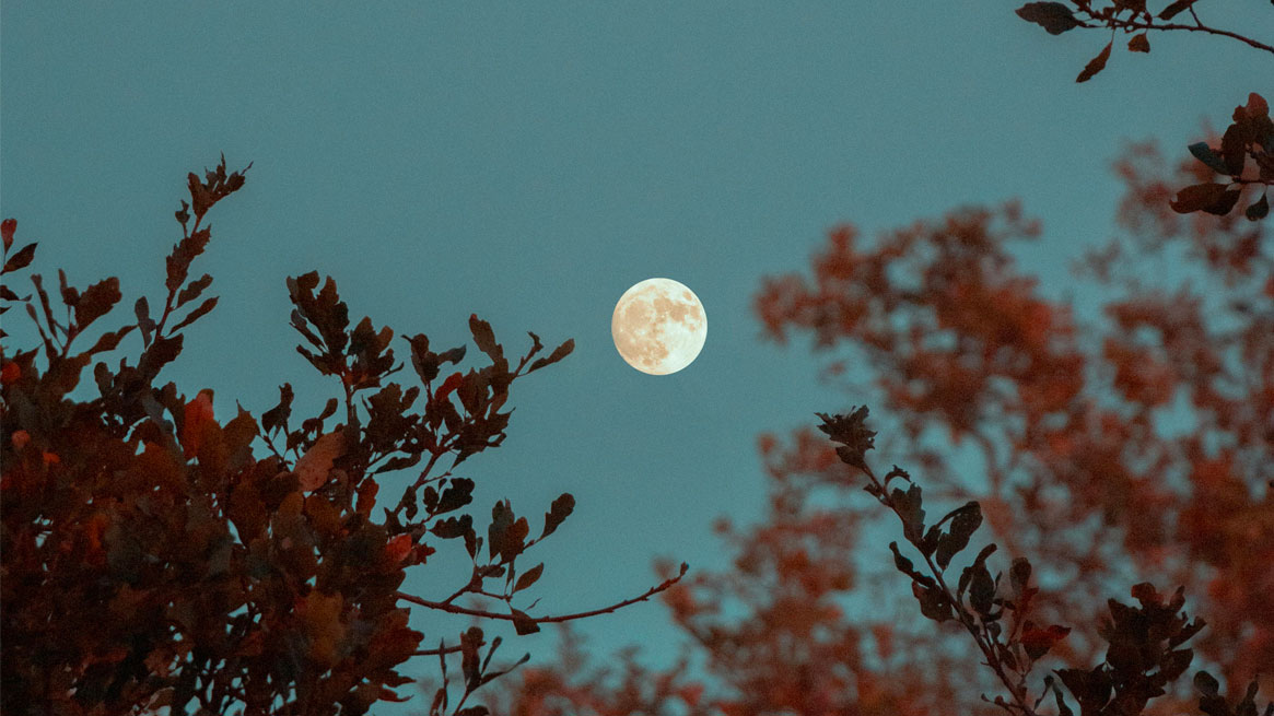 Luna llena julio 2024 en capricornio 