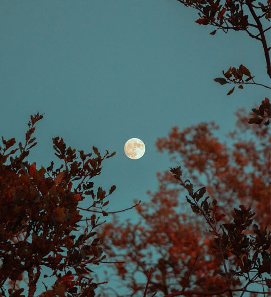 Luna Llena en capricornio