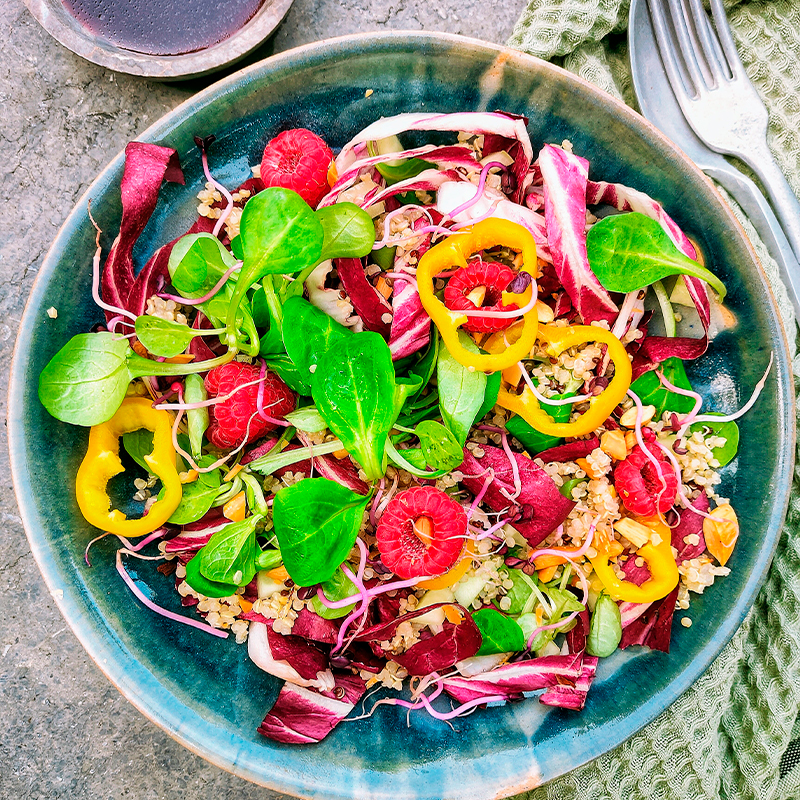 Ensalada de achicoria y canónigos con quinoa y vinagreta de frutos rojos