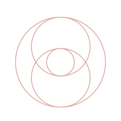 On nomme Vesica Pisces la partie qui se trouve à l’intersection de deux cercles de diamètre identique