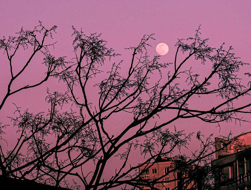 Luna Llena mayo 2024 en Sagitario Potoroze